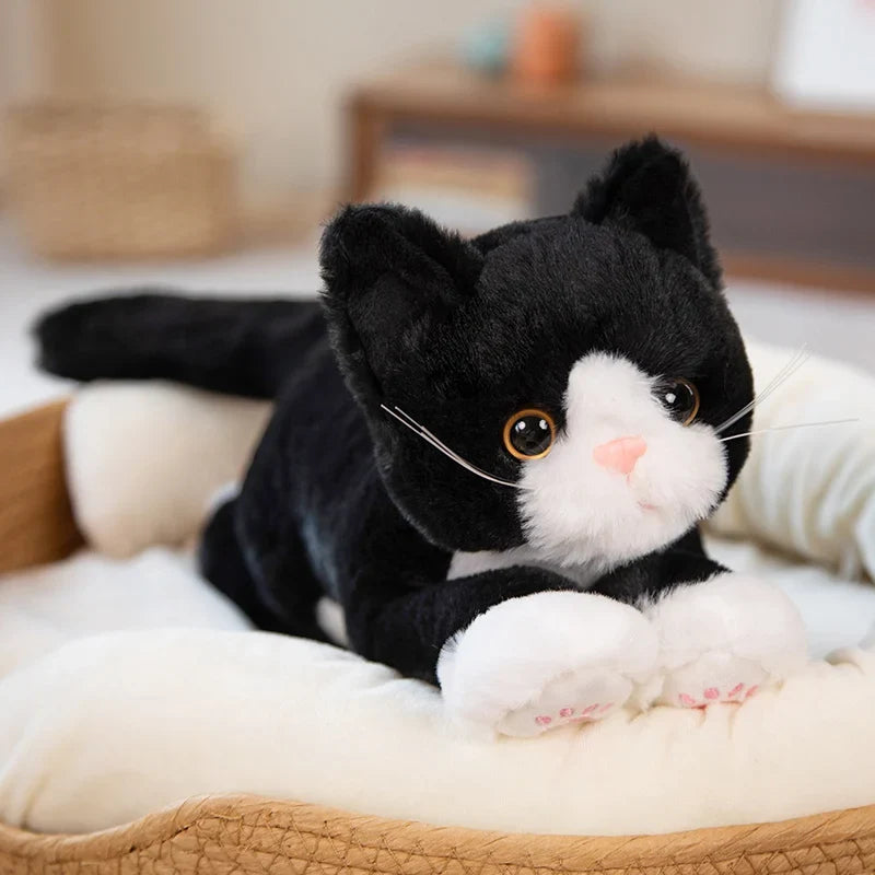 Animals and Pet Supplies example products
