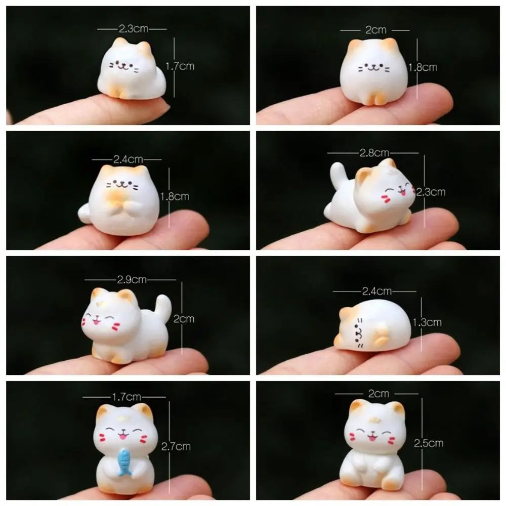 DIY Wealth Cat Model