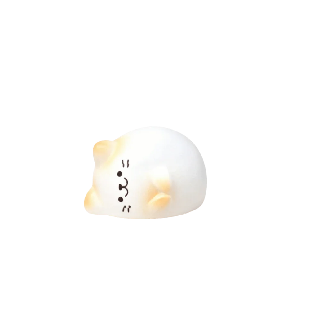 DIY Wealth Cat Model