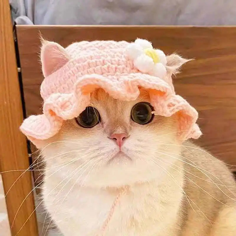 Cat Hat