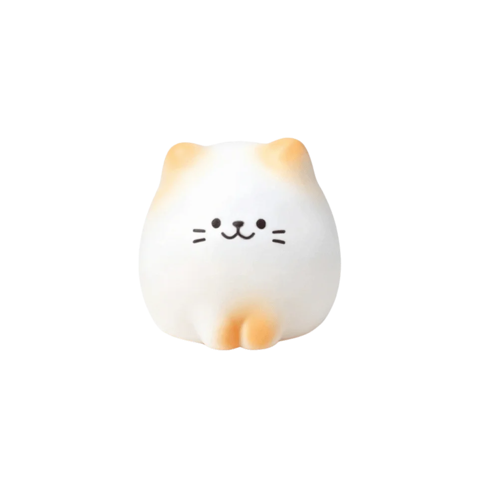 DIY Wealth Cat Model