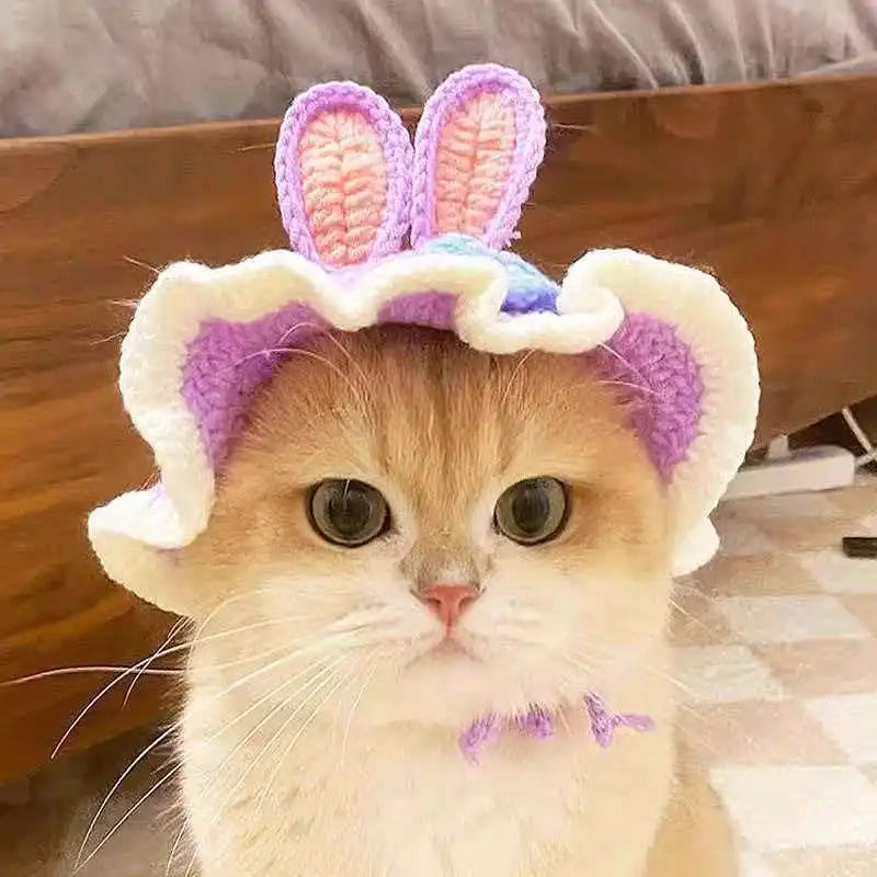 Cat Hat