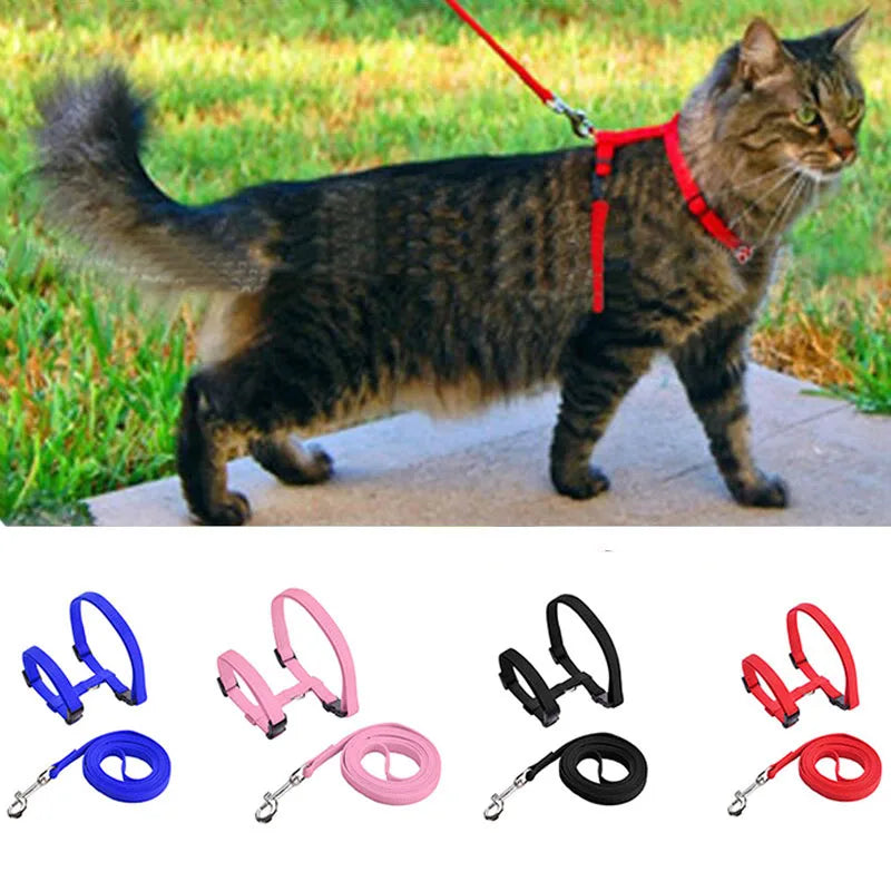 Adjustable Pet Cat Collar