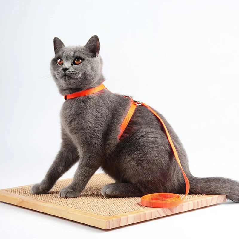 Adjustable Pet Cat Collar