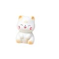 DIY Wealth Cat Model