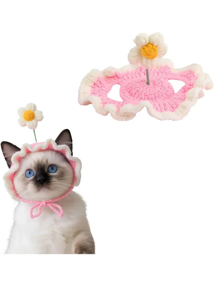 Cat Hat