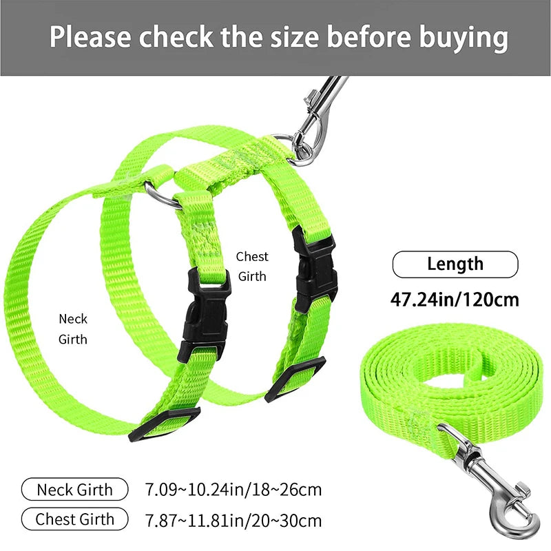 Adjustable Pet Cat Collar