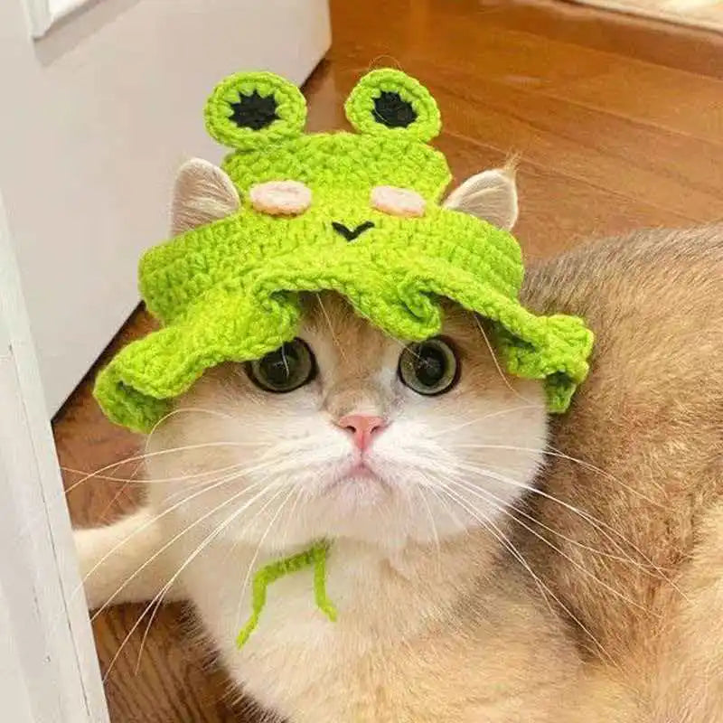 Cat Hat