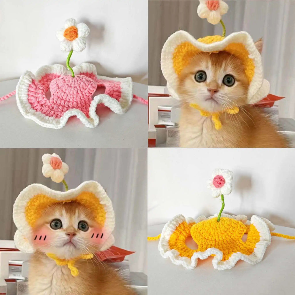 Cat Hat