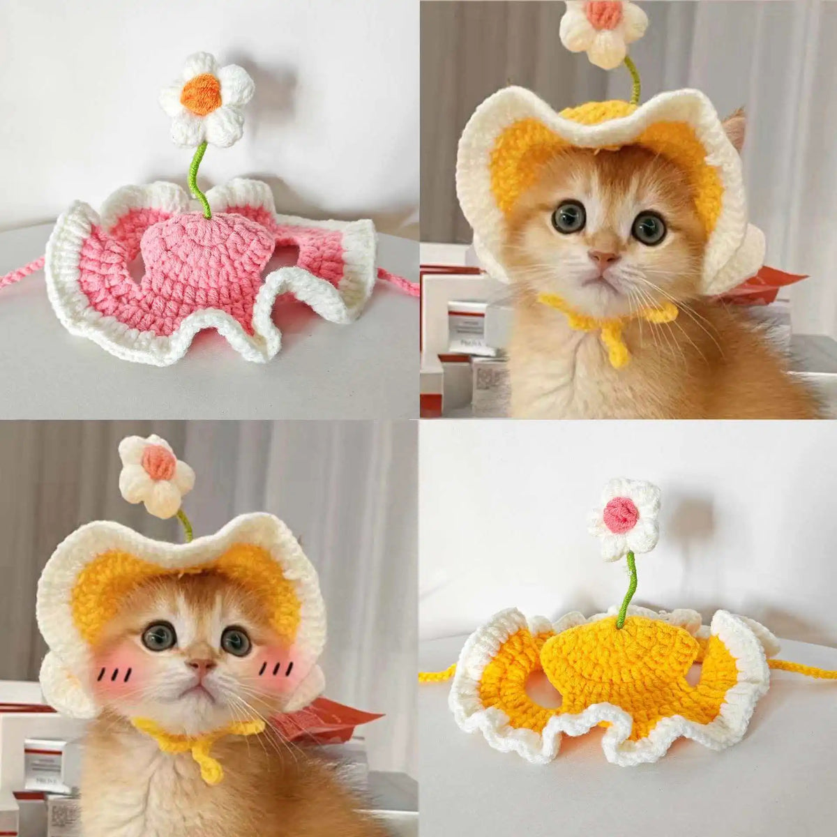 Cat Hat