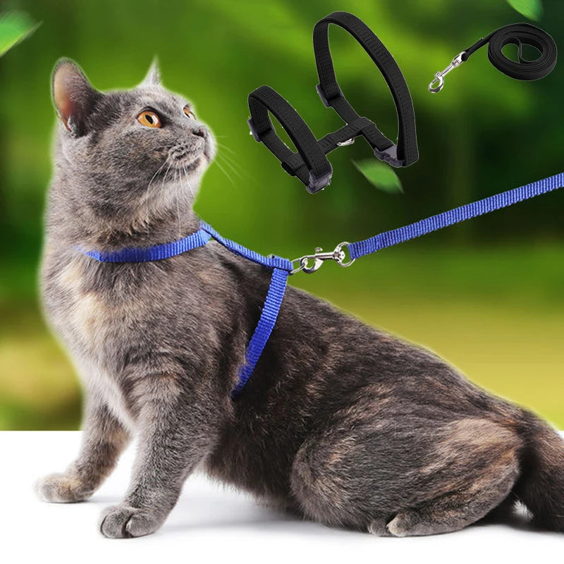 Adjustable Pet Cat Collar
