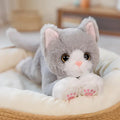53CM Cute Simulated Cat