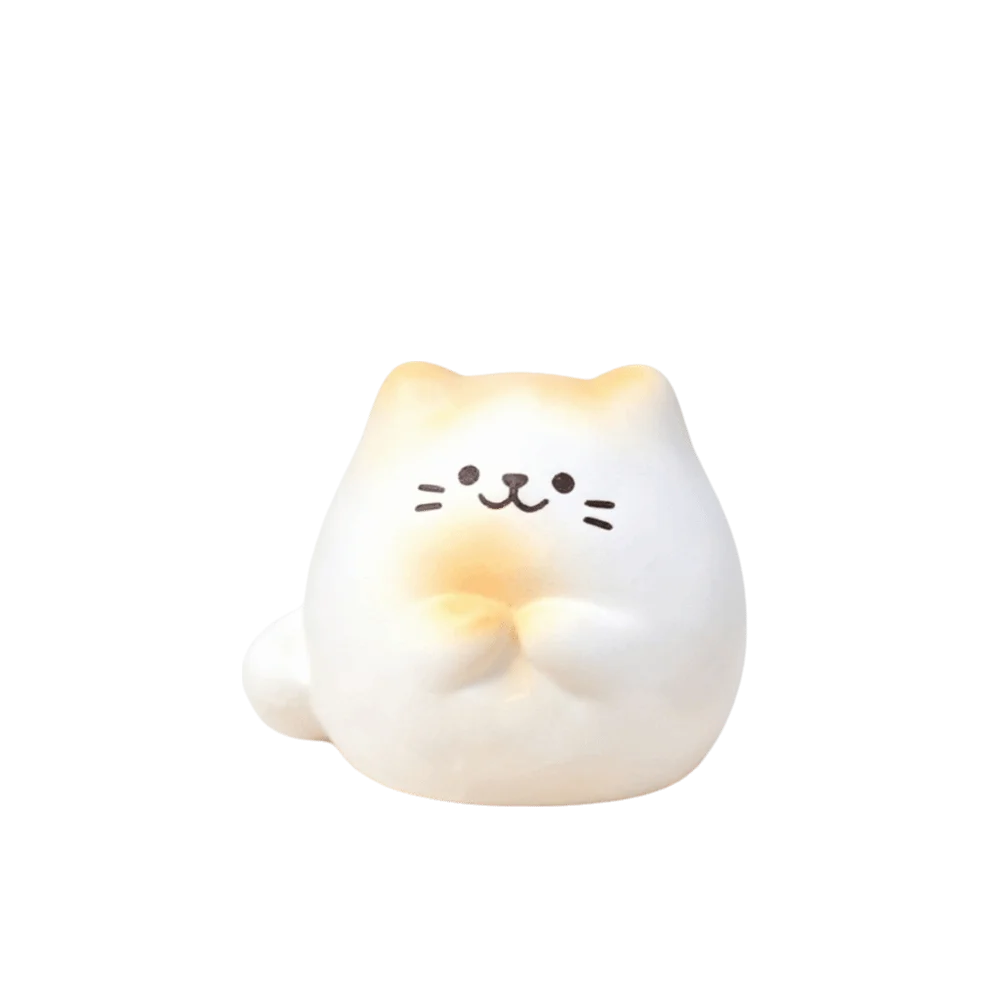 DIY Wealth Cat Model