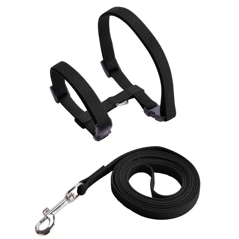 Adjustable Pet Cat Collar