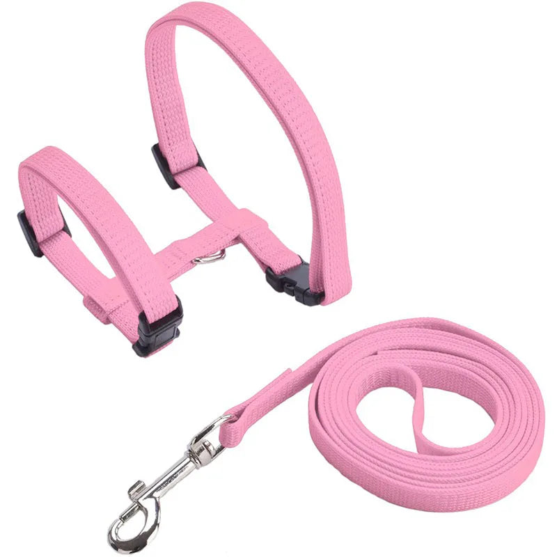 Adjustable Pet Cat Collar
