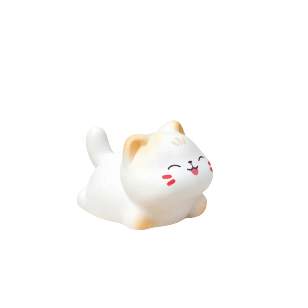 DIY Wealth Cat Model