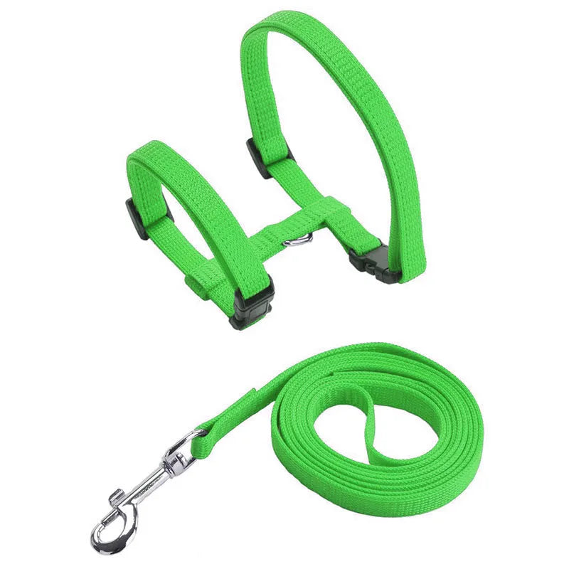 Adjustable Pet Cat Collar