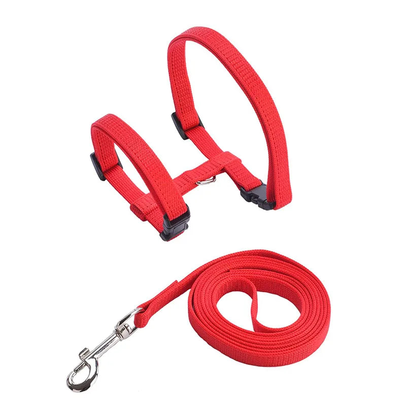 Adjustable Pet Cat Collar