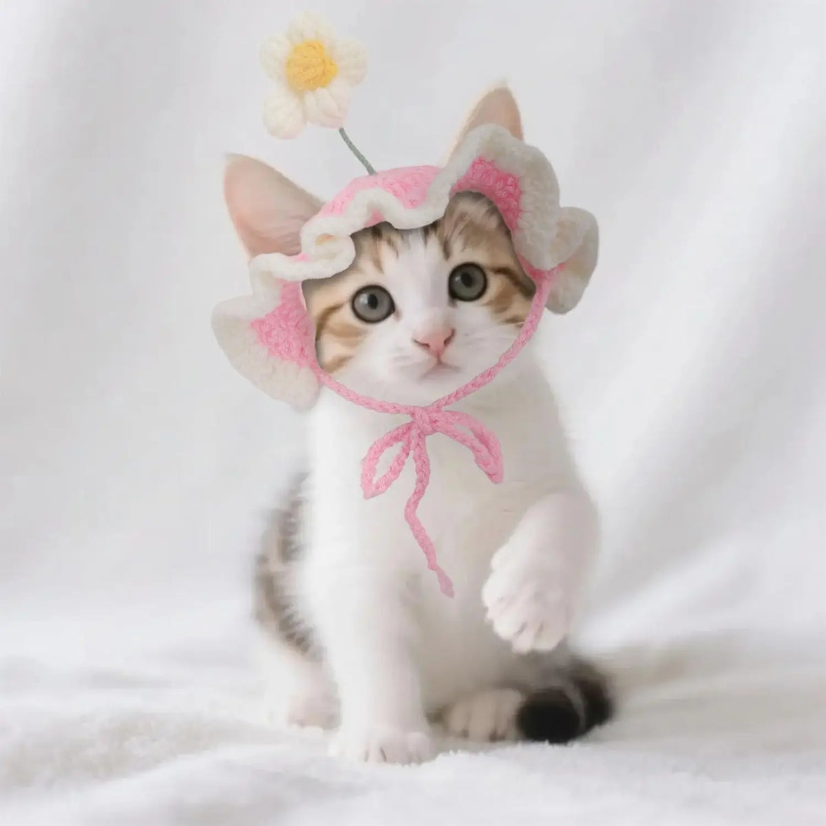Cat Hat