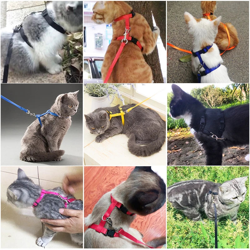 Adjustable Pet Cat Collar